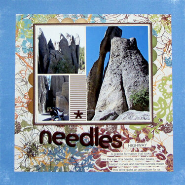 Needles Highway