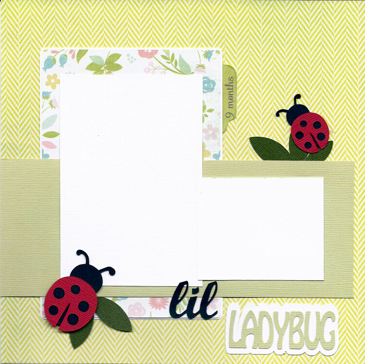 lil Ladybug