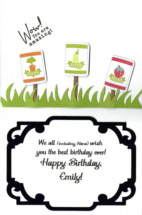 Farm girl birthday card