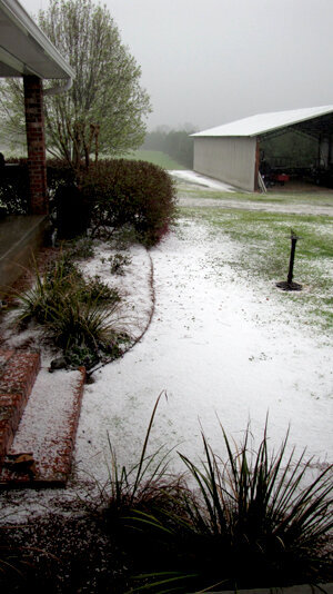 hail  3/23/2013