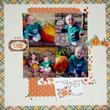 at the Pumpkin Patch