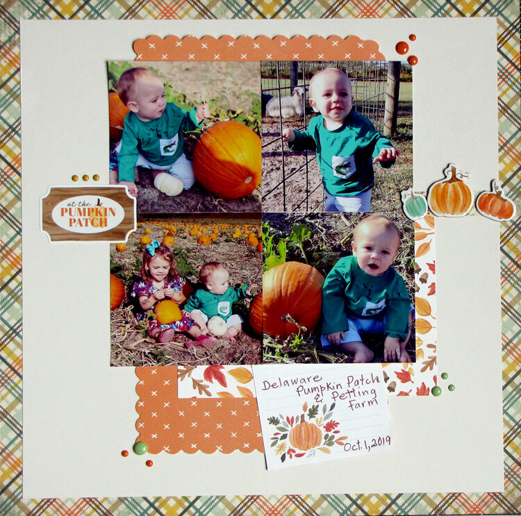 at the Pumpkin Patch