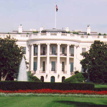 white house