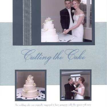 Wedding Album Page 29