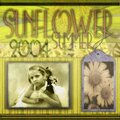 Sunflower Summer