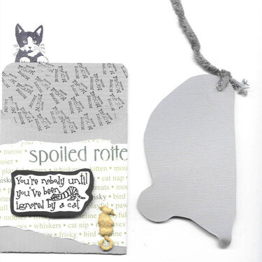 Cat pocket and mouse tag