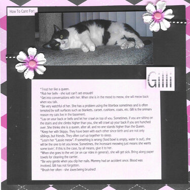 How To Care For: Gilli