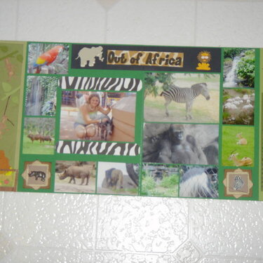 Animal Kingdom: Out of Africa