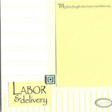 8x8 Baby Gift Book: Labor &amp;amp; Delivery