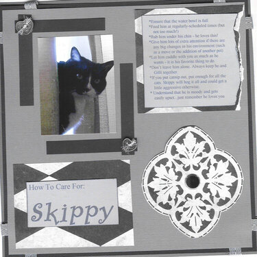How To Care For: Skippy