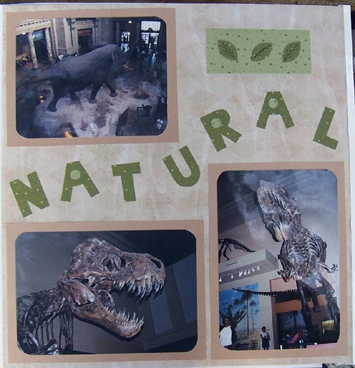 Natural History 1
