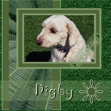 Digby