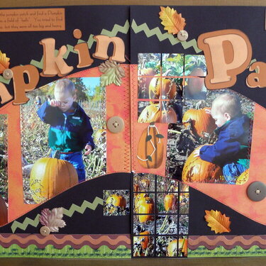 1 st year at the Pumpkin Patch