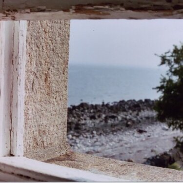 island window - dof challenge