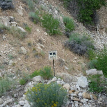 Aug. Challenge #2: No trespassing sign