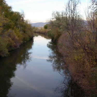 November pic hunt #10: Picture taken from a bridge not of a bridge