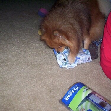 Taz Opening xmas presents