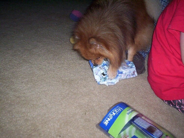 Taz Opening xmas presents