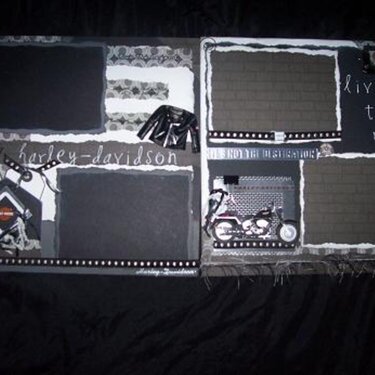 Harley-Davidson Live To Ride