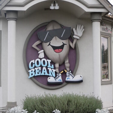 Cool Bean