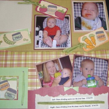 Owen&#039;s First Foods Page 2
