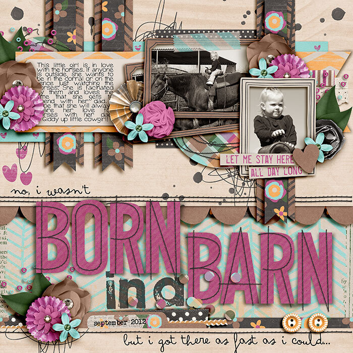 Born in a Barn