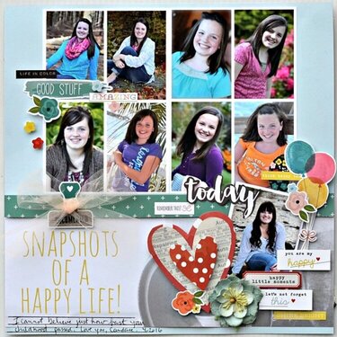 Snapshots of a happy life (March 2016 DT)