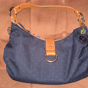 New Purse from American Eagle