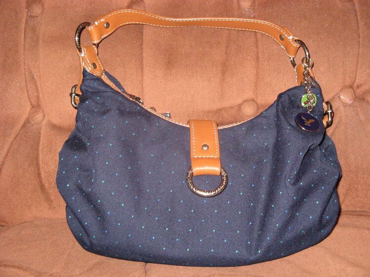 New Purse from American Eagle
