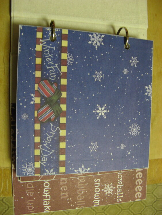 Winter Mini Album--Pg 1 *