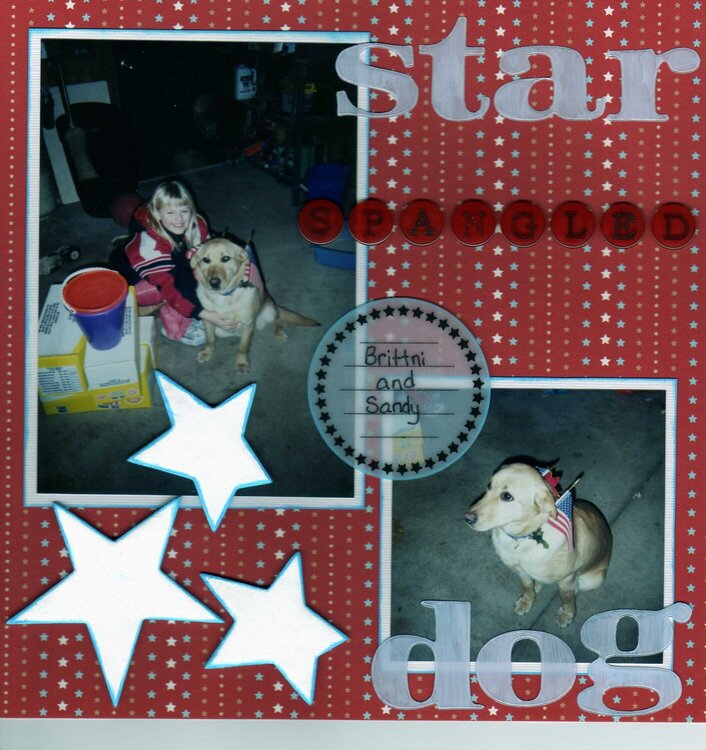 Star Spangled Dog *