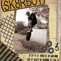 sk8rboy