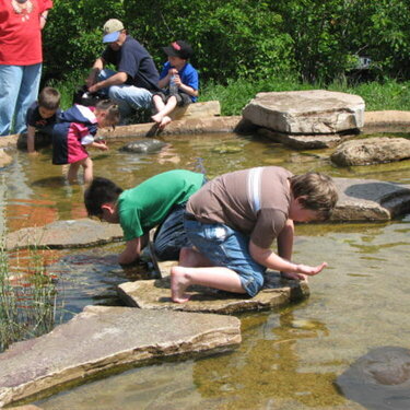 Looking for tadpoles