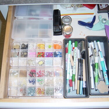 Organization- ScrapSpace June 2007