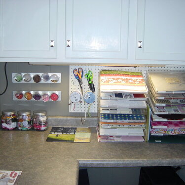 Organization- ScrapSpace June 2007