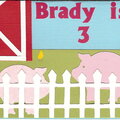 Brady's card