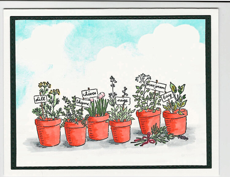 Herb Garden