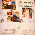 Kitty Christmas and signed birthday card