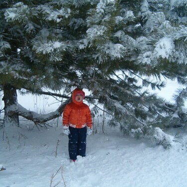 Taigan and our Pine tree - Junary 11, 2007 - First Snow