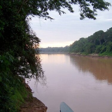 Pictures: The Amazone