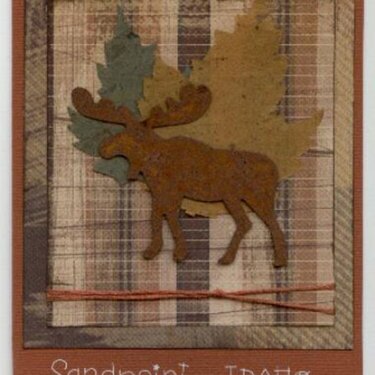 Another moose card!