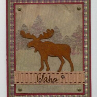 Idaho Moose notecard