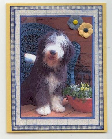 Doggie Note Card