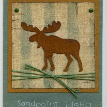 Moose notecard