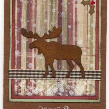Snowfall on Moose card