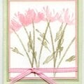 Tulip notecard