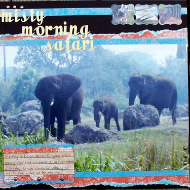 Misty Morning Safari