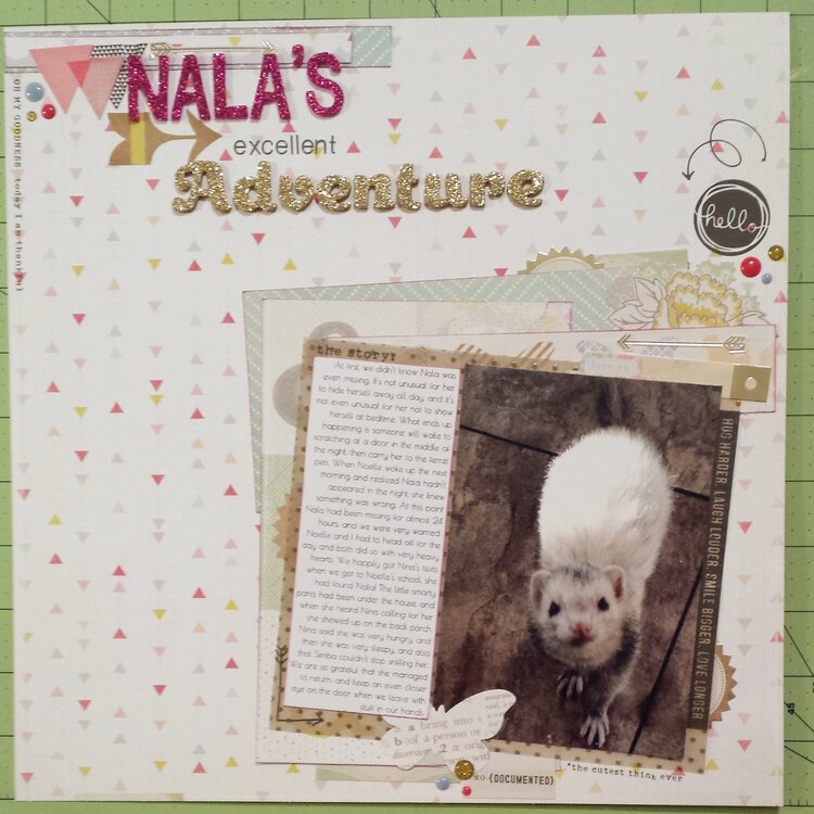 Nala&#039;s Excellent Adventure