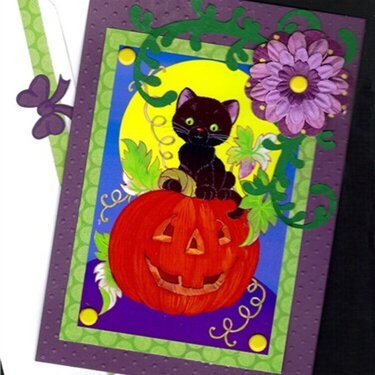 Cat On Pumpkin Halloween card 2