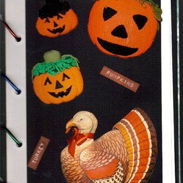 Page 43 (Pumpkins and Turkey)